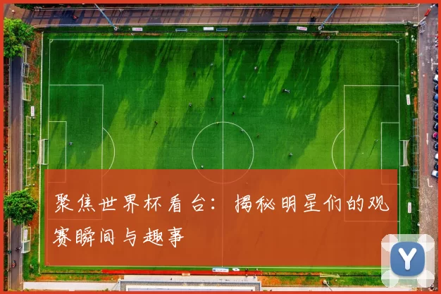 聚焦世界杯看台：揭秘明星们的观赛瞬间与趣事