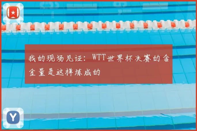 我的现场见证:WTT世界杯决赛的含金量是这样炼成的