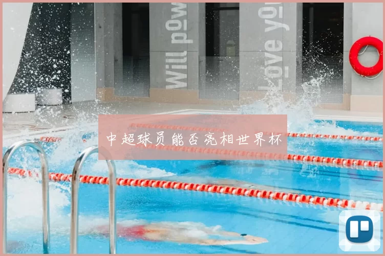 中超球员能否亮相世界杯