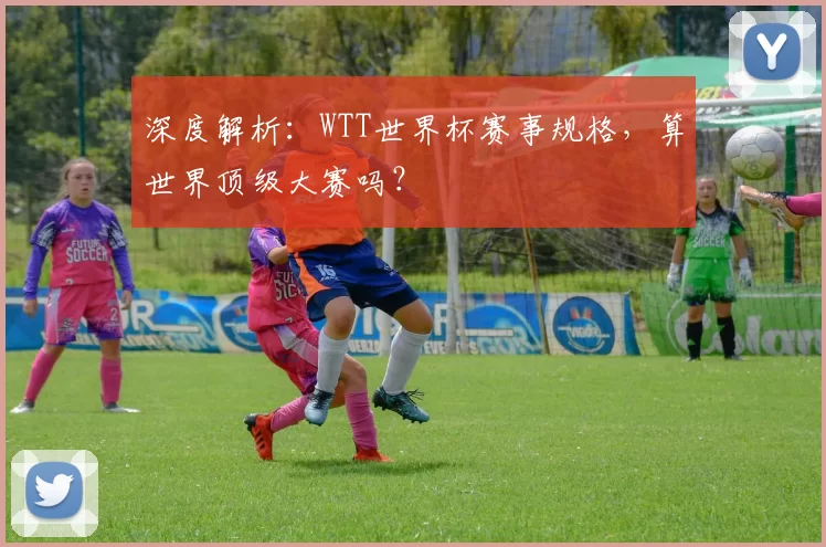 深度解析：WTT世界杯赛事规格，算世界顶级大赛吗？