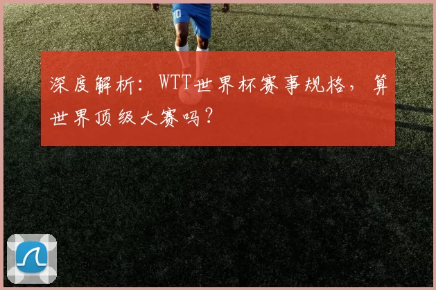 深度解析:WTT世界杯赛事规格,算世界顶级大赛吗?