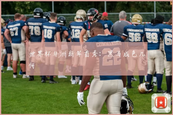 世界杯非洲新军首秀：黑马成色几何