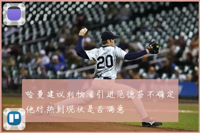 哈曼建议利物浦引进范德芬不确定他对热刺现状是否满意