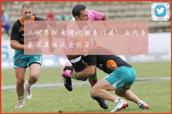 从世界杯竞猜比例看门道：业内专家深度访谈全记录