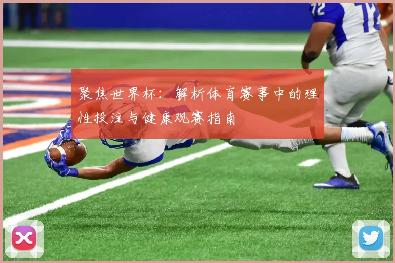 聚焦世界杯：解析体育赛事中的理性投注与健康观赛指南