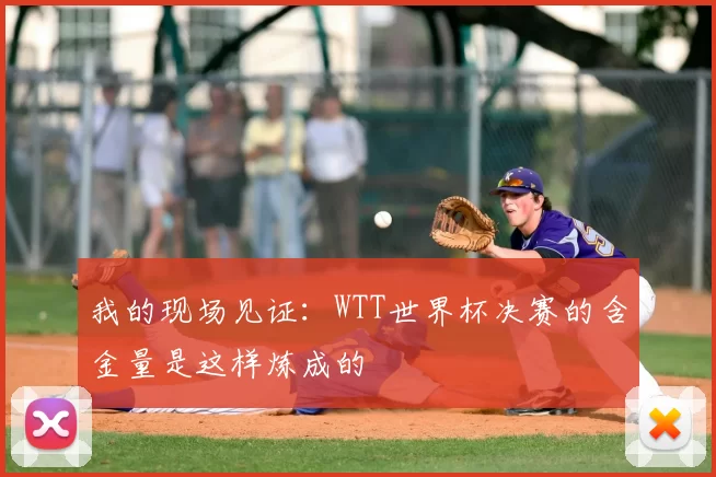 我的现场见证:WTT世界杯决赛的含金量是这样炼成的