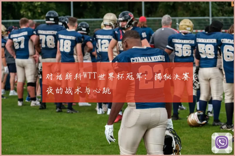 对话新科WTT世界杯冠军：揭秘决赛夜的战术与心跳