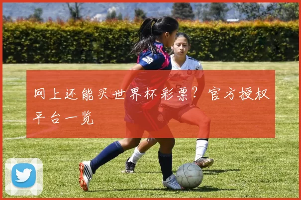 网上还能买世界杯彩票？官方授权平台一览
