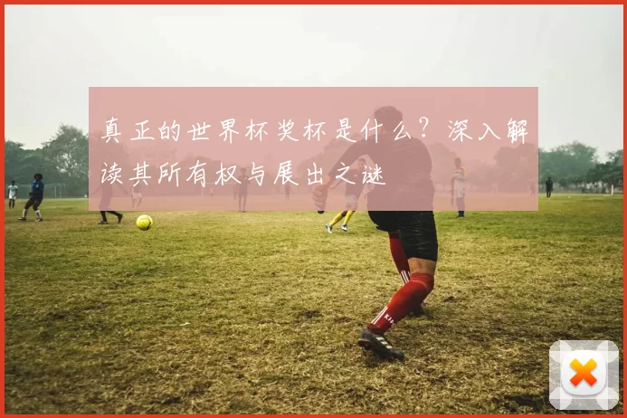 真正的世界杯奖杯是什么?深入解读其所有权与展出之谜
